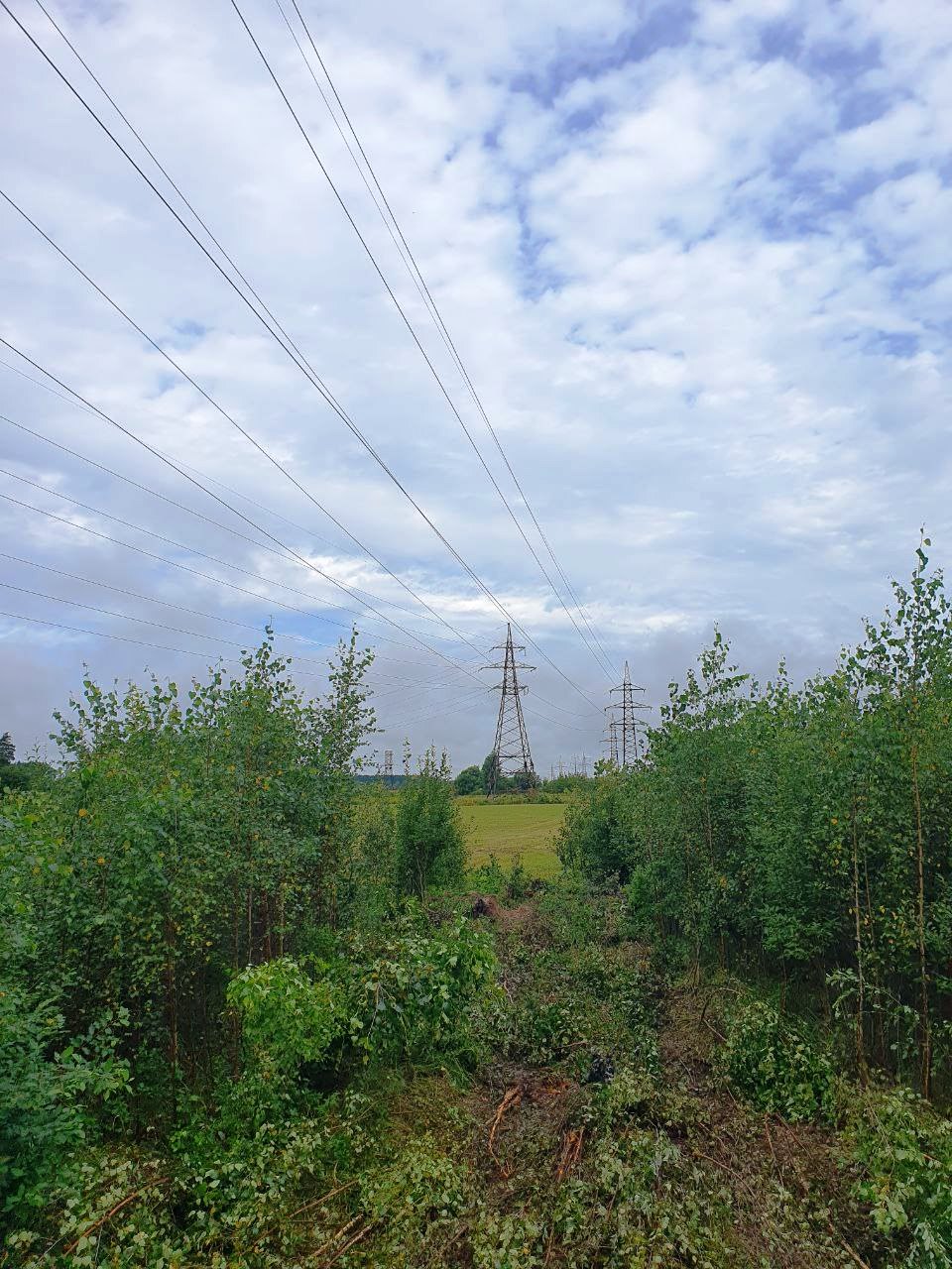 Автор фото: Сергей Демидов