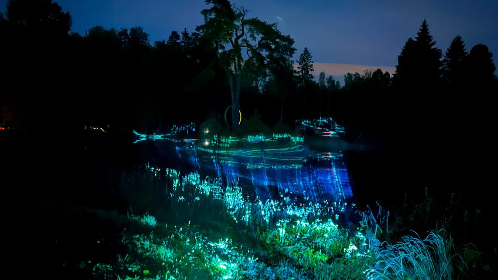 фестиваль лайткод, торжокский округ