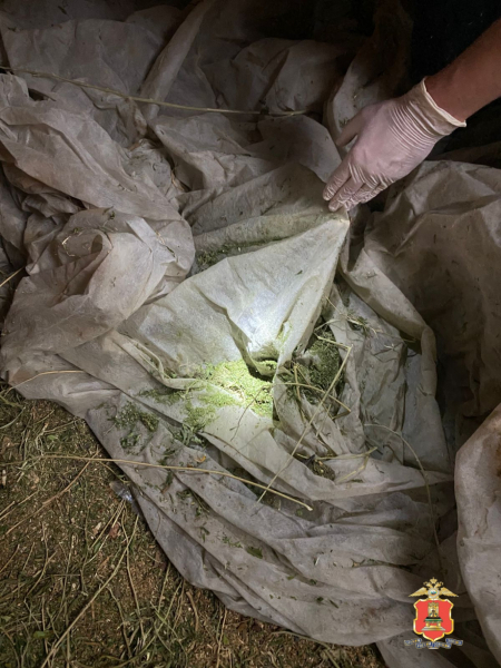 задержание наркодилера, вышний волочек