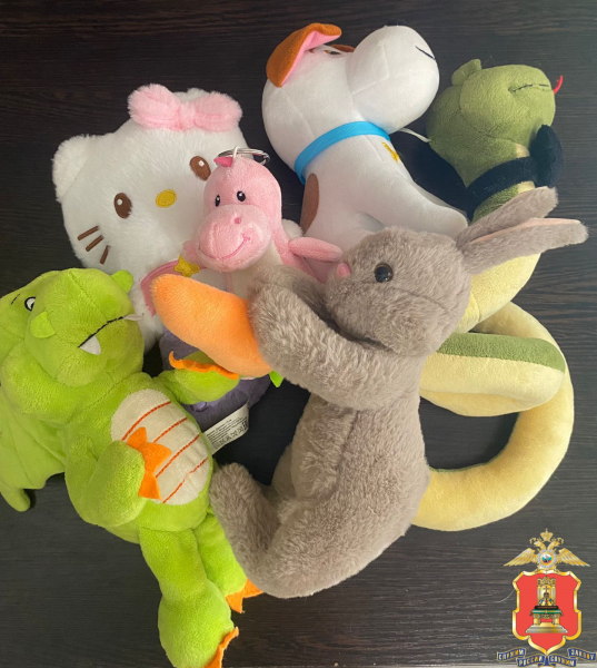 Фото: УМВД России по Тверской области