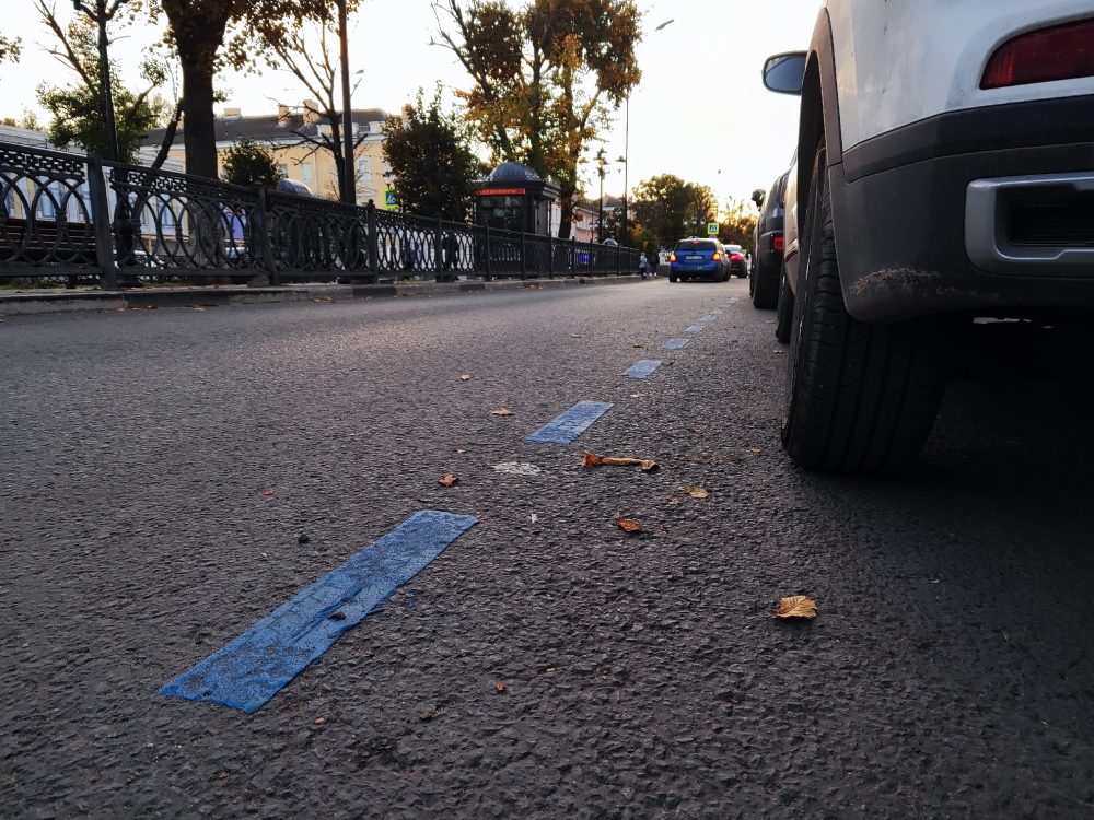 Фото: Дарья Дергунова/РИА Верхневолжье