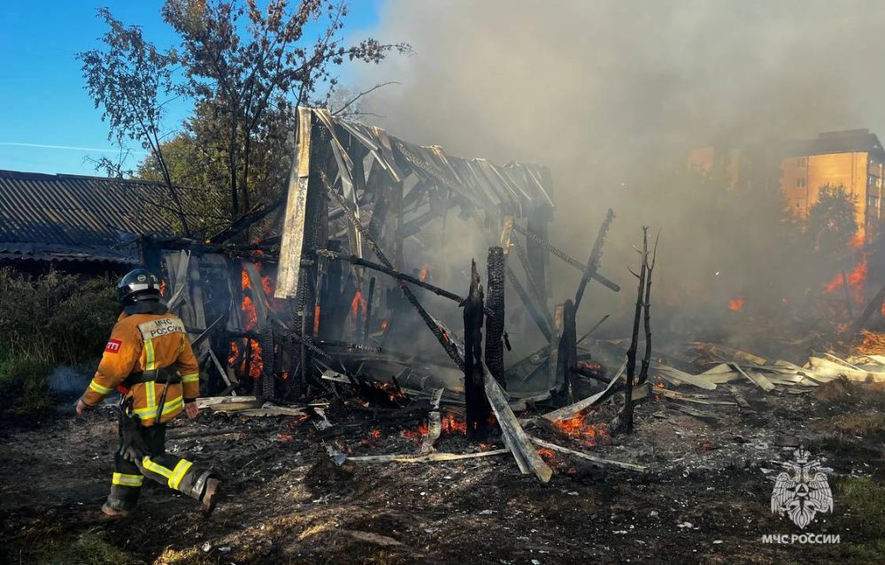 Фото: МЧС России по Тверской области