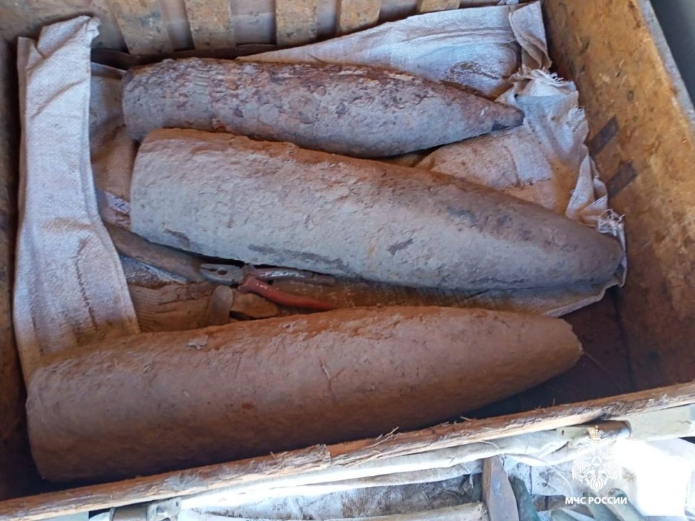 Фото: МЧС России по Тверской области