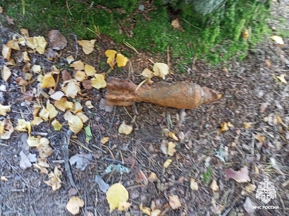 Фото: МЧС России по Тверской области