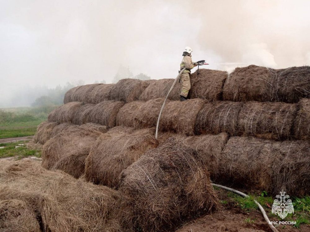 Фото: МЧС России по Тверской области