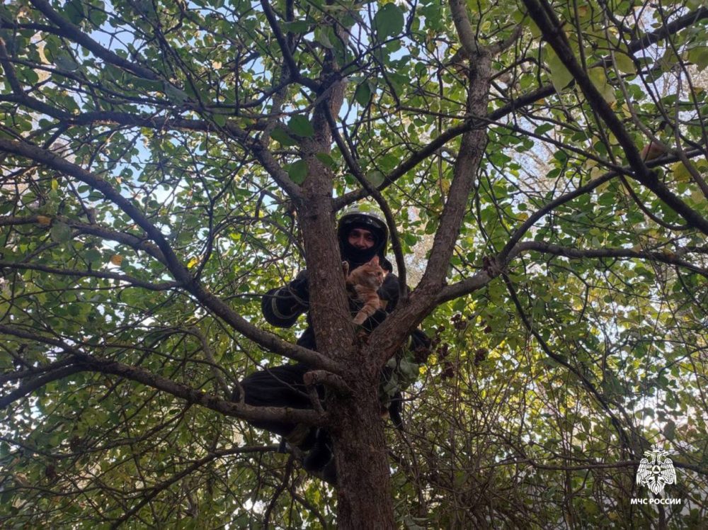 Фото: МЧС России по Тверской области