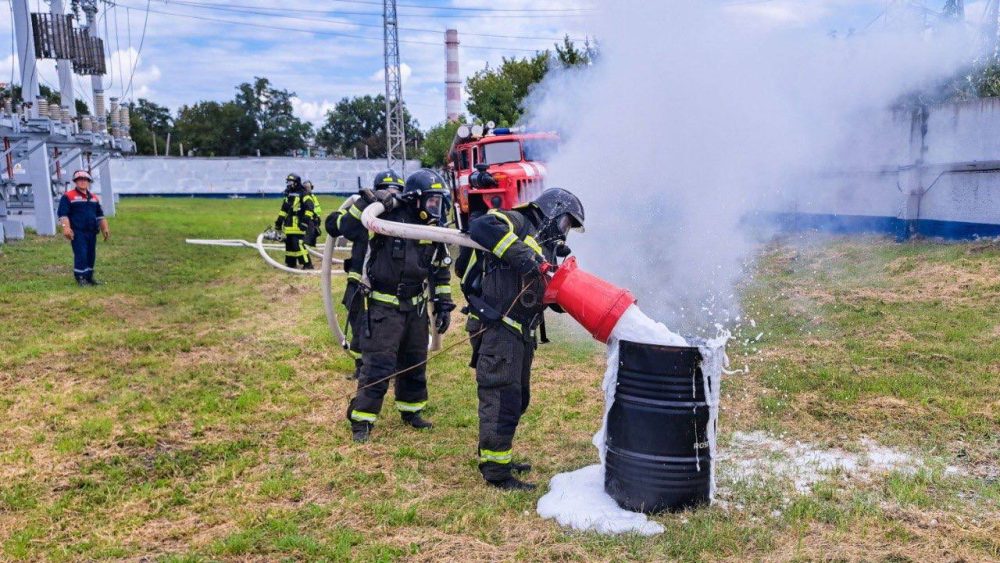 Фото: Наталья Покутнева/филиал ПАО «Россети Центр» 