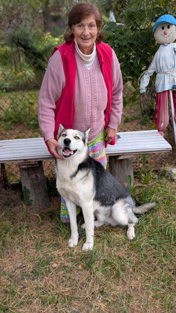Елена Ильина и Марс фото Геннадий Спирин