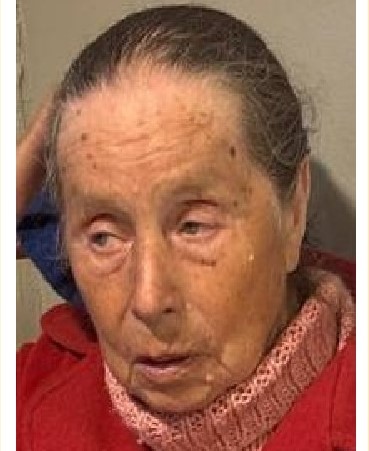 Фото: группа Вконтакте 