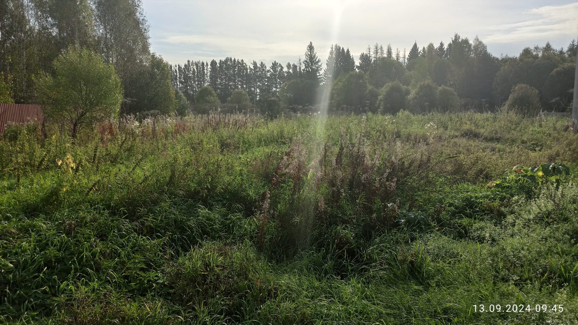 Фото: Елена Макарова