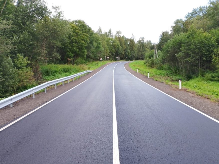 Фото: Анна Климова/ПТО