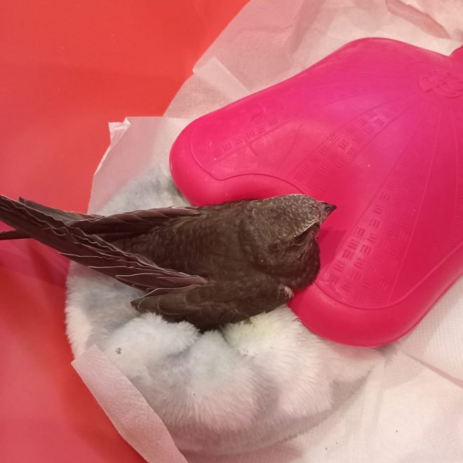 Фото: ВК-сообщество 