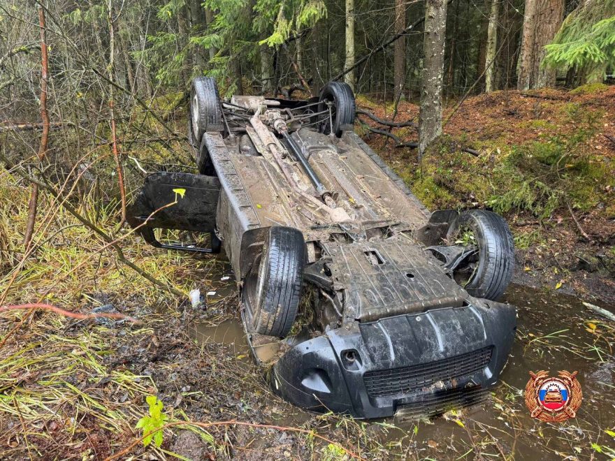 Фото: Госавтоинспекция