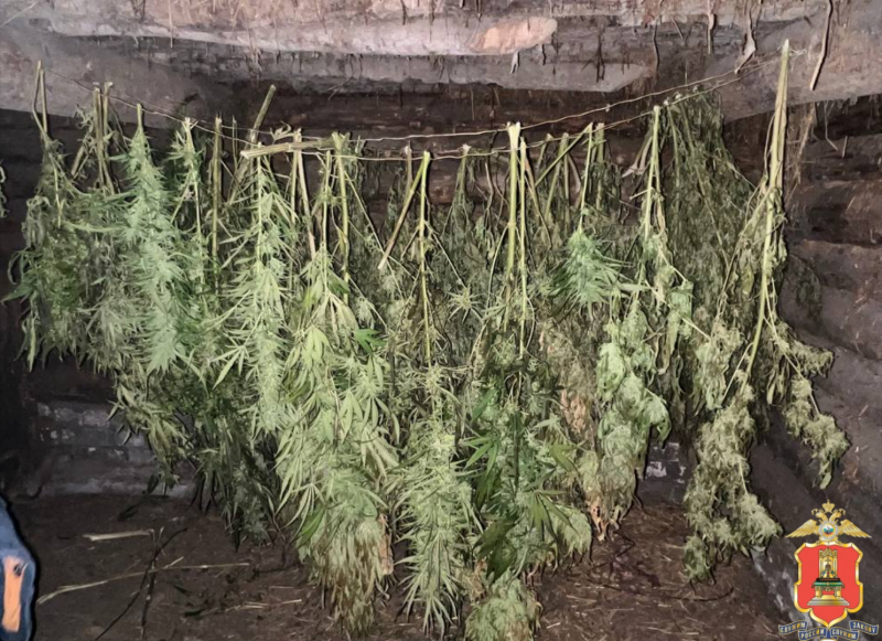 Фото: Пресс-служба УМВД России по Тверской области