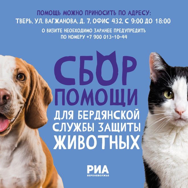 Медиахолдинг РИА «Верхневолжье» открыл сбор помощи для службы защиты животных