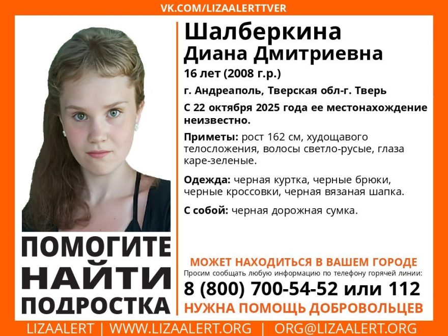 Шалберкина Диана Дмитриевна