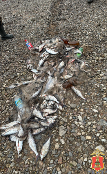 незаконная ловля рыбы, весьегонский округ