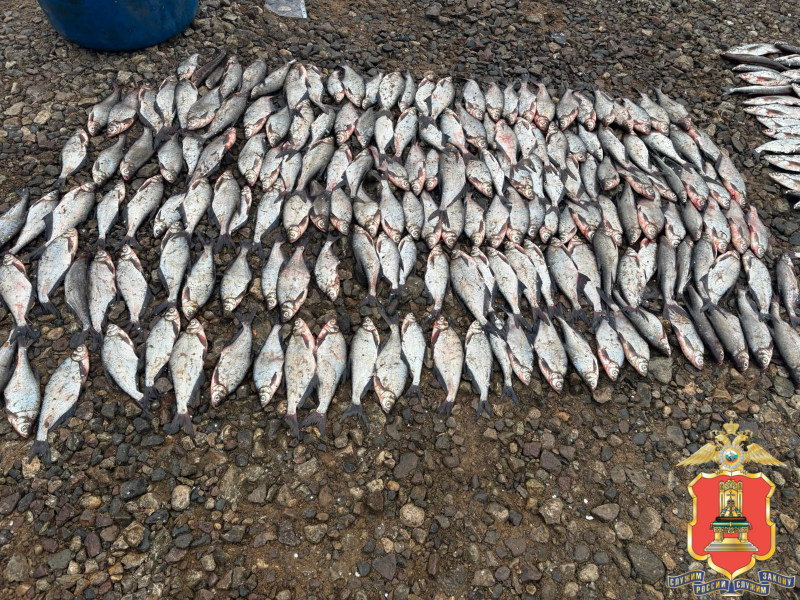 Фото: УМВД России по Тверской области