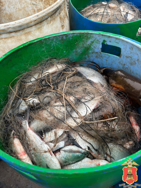 незаконная ловля рыбы, весьегонский округ