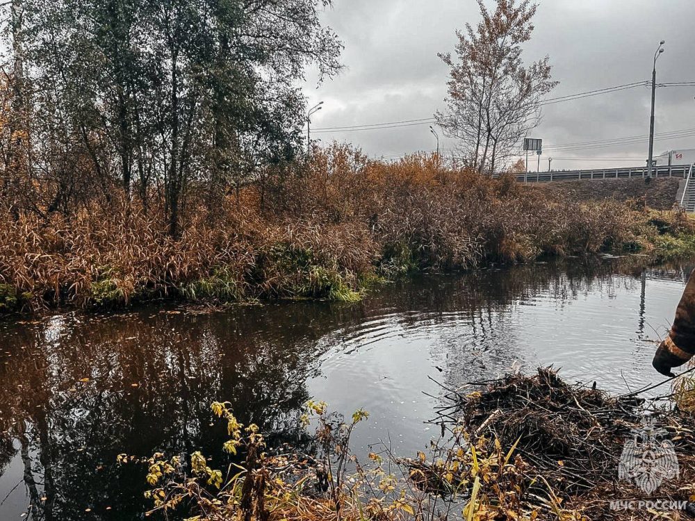 Фото: МЧС России по Тверской области