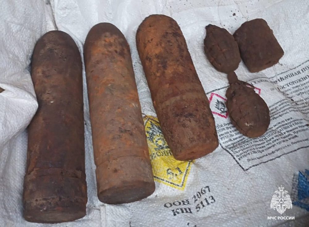 Фото: МЧС России по Тверской области