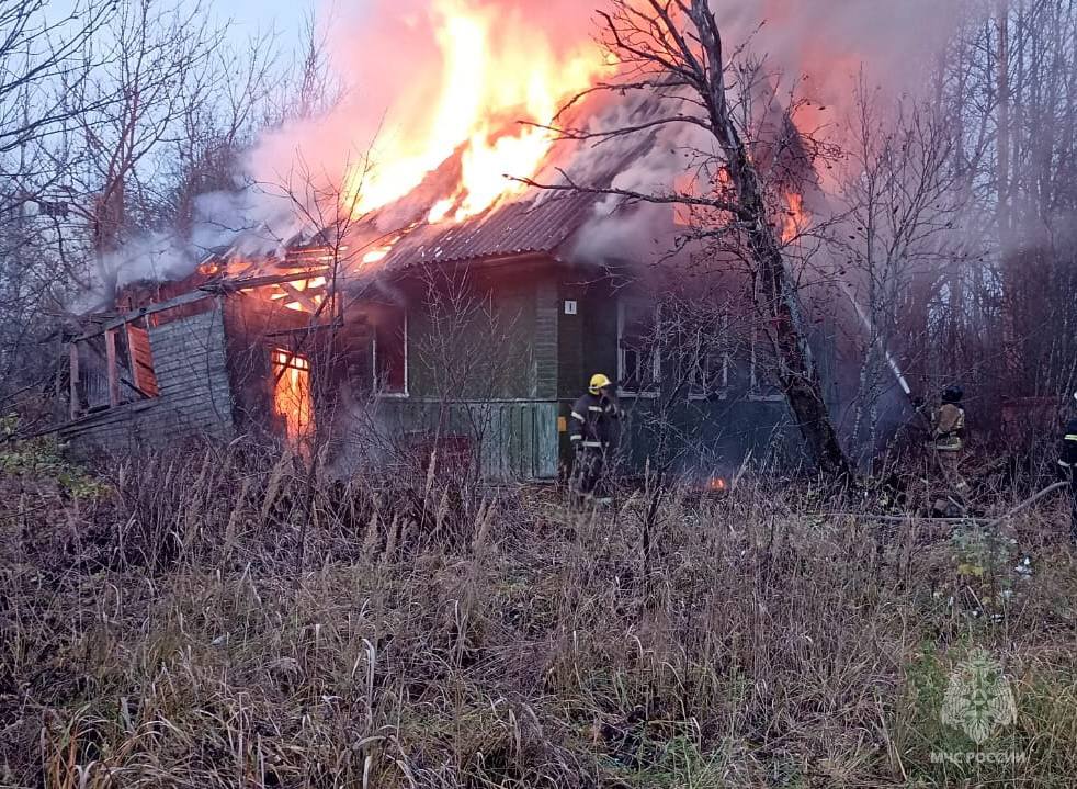 Фото: МЧС России по Тверской области