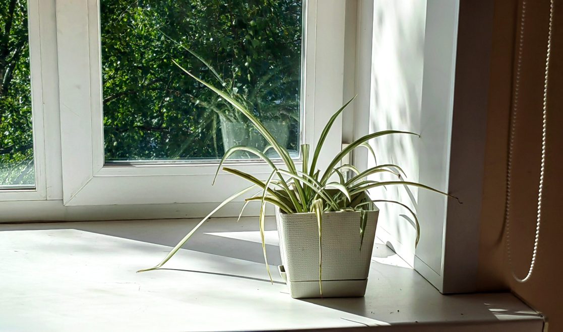 Фото: Кристина Белякова/РИА Верхневолжье