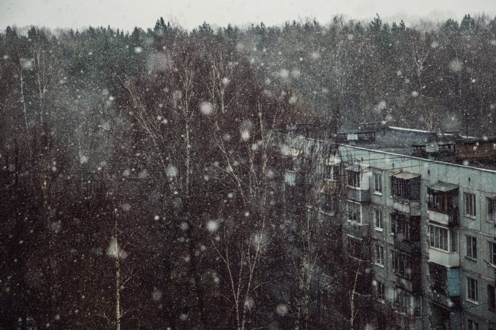 Фото: Кристина Белякова/РИА Верхневолжье