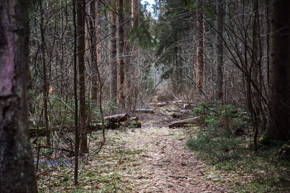Фото: Кристина Белякова/РИА Верхневолжье
