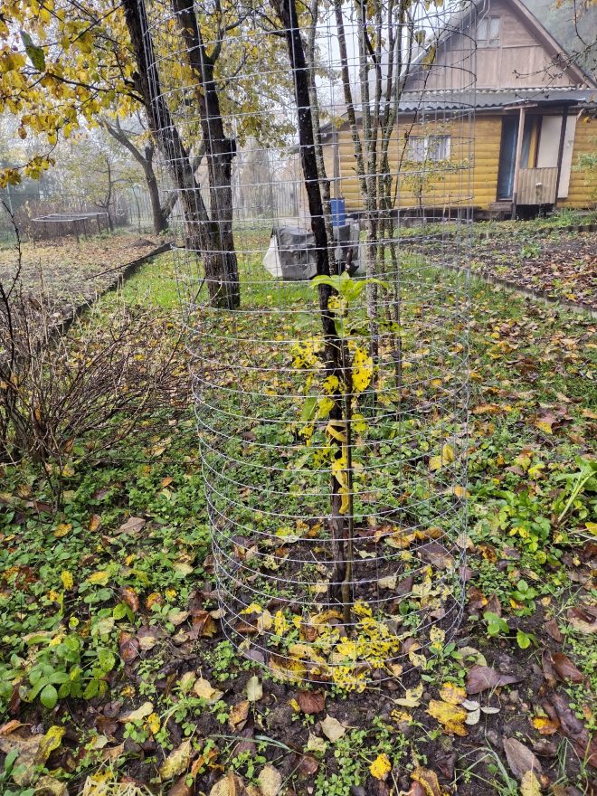 Ограждение Никитенко