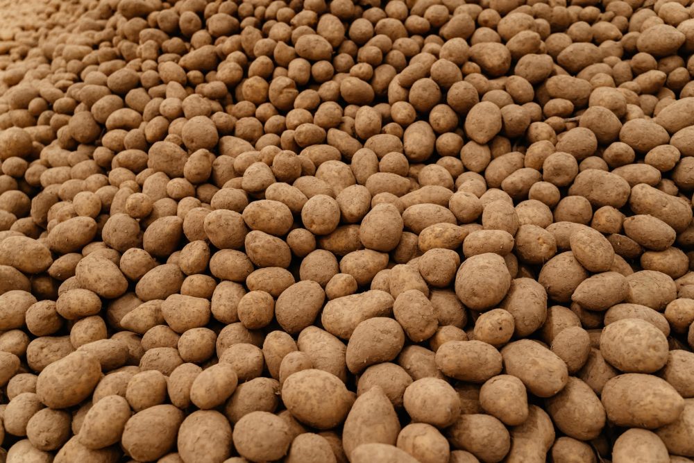 Фото: Максим Школьников/РИА Верхневолжье