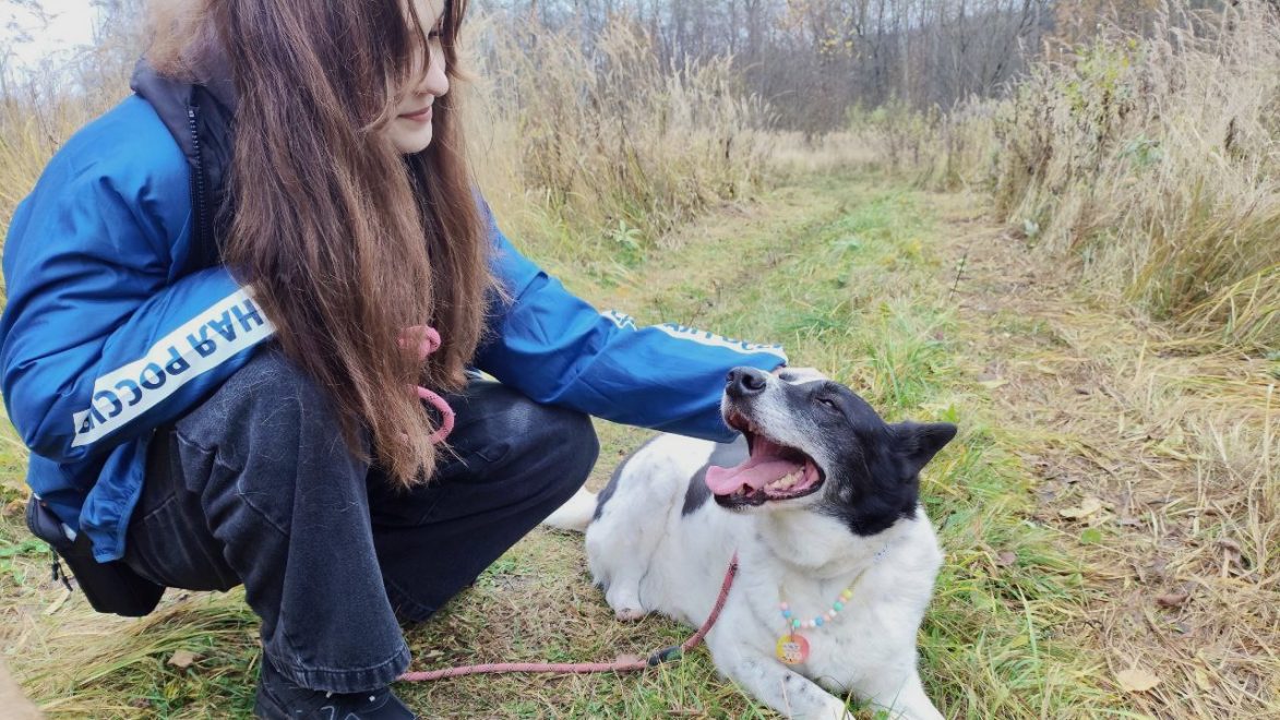 волонтеры, приют, жвотные (2)