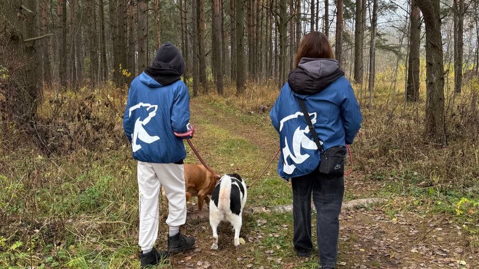 Фото: И. Рябов/Единая Россия