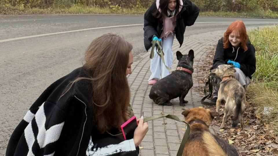 волонтеры, приют, жвотные (5)