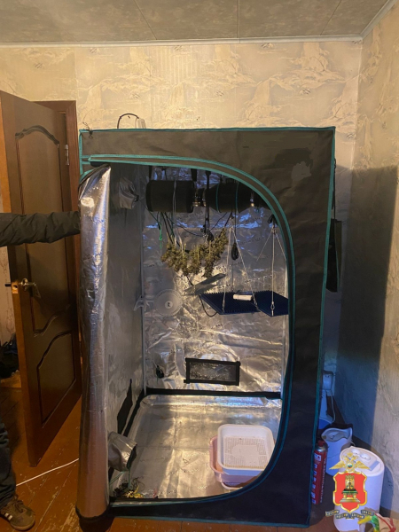 наркоферма (3)