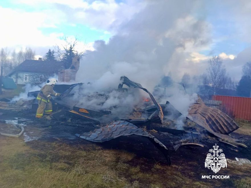 Фото: пресс-служба регионального МЧС