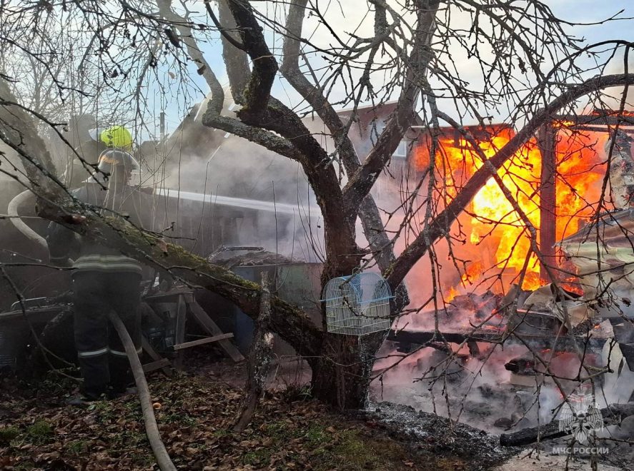 Фото: пресс-служба регионального МЧС