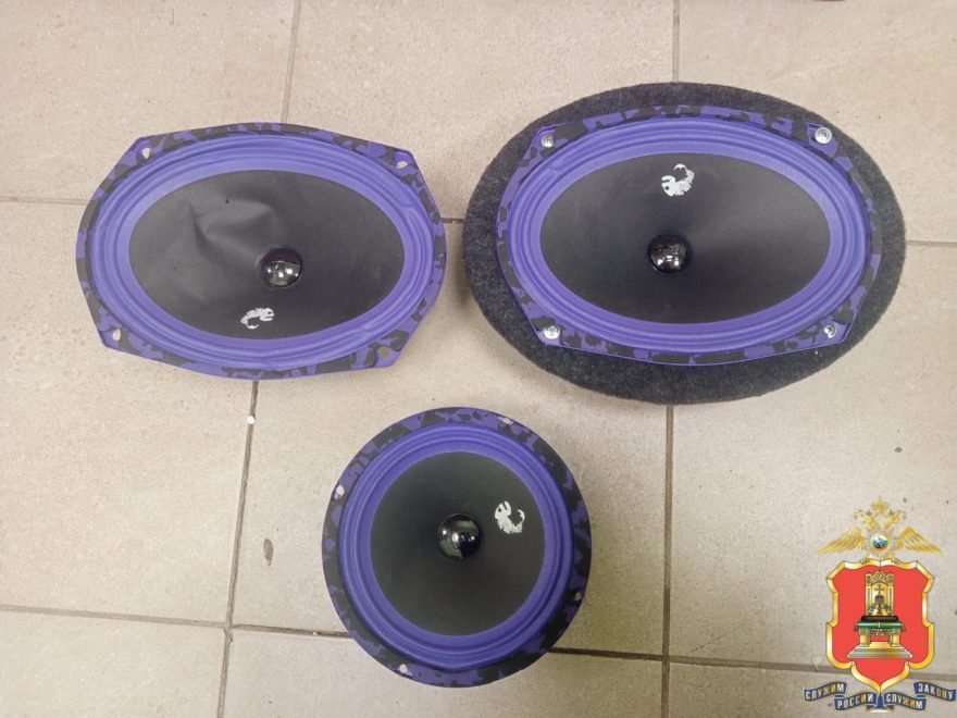 Фото: пресс-служба регионального УМВД