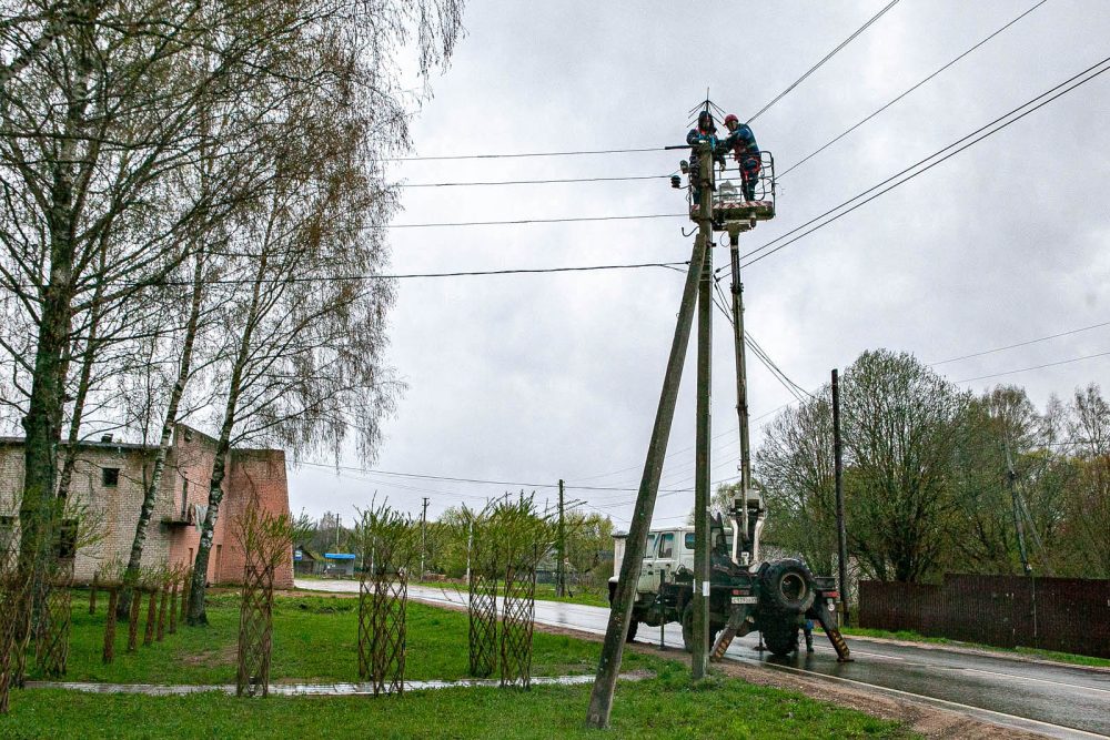 птицезащита