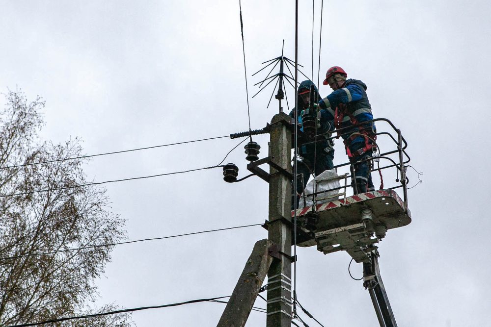 птицезащита