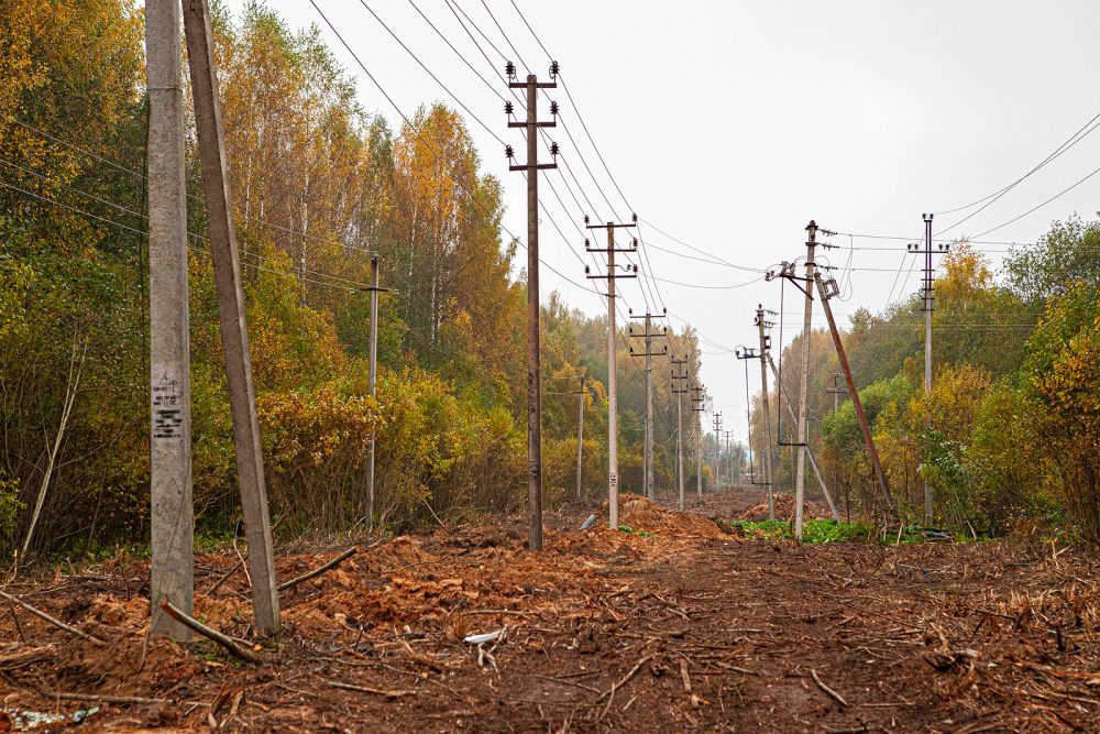 Фото: Диана Журавлева/филиал ПАО «Россети Центр» -
«Тверьэнерго»
