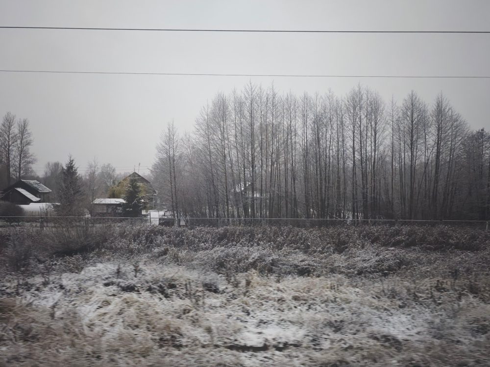 Фото: Дарья Дергунова/РИА Верхневолжье