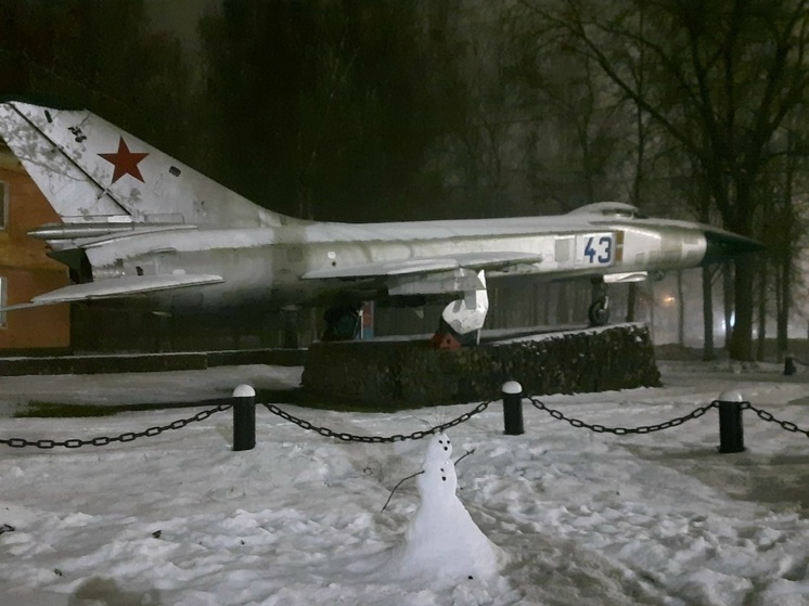 Фото: Ирина Федотова/Андреапольский муниципальный округ