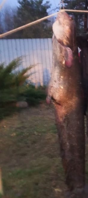 Фото: группа Вконтакте 