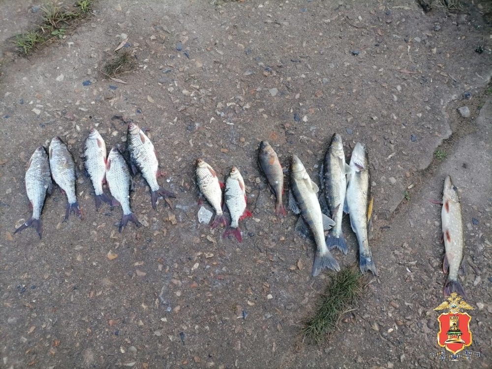 Фото: УМВД России по Тверской области