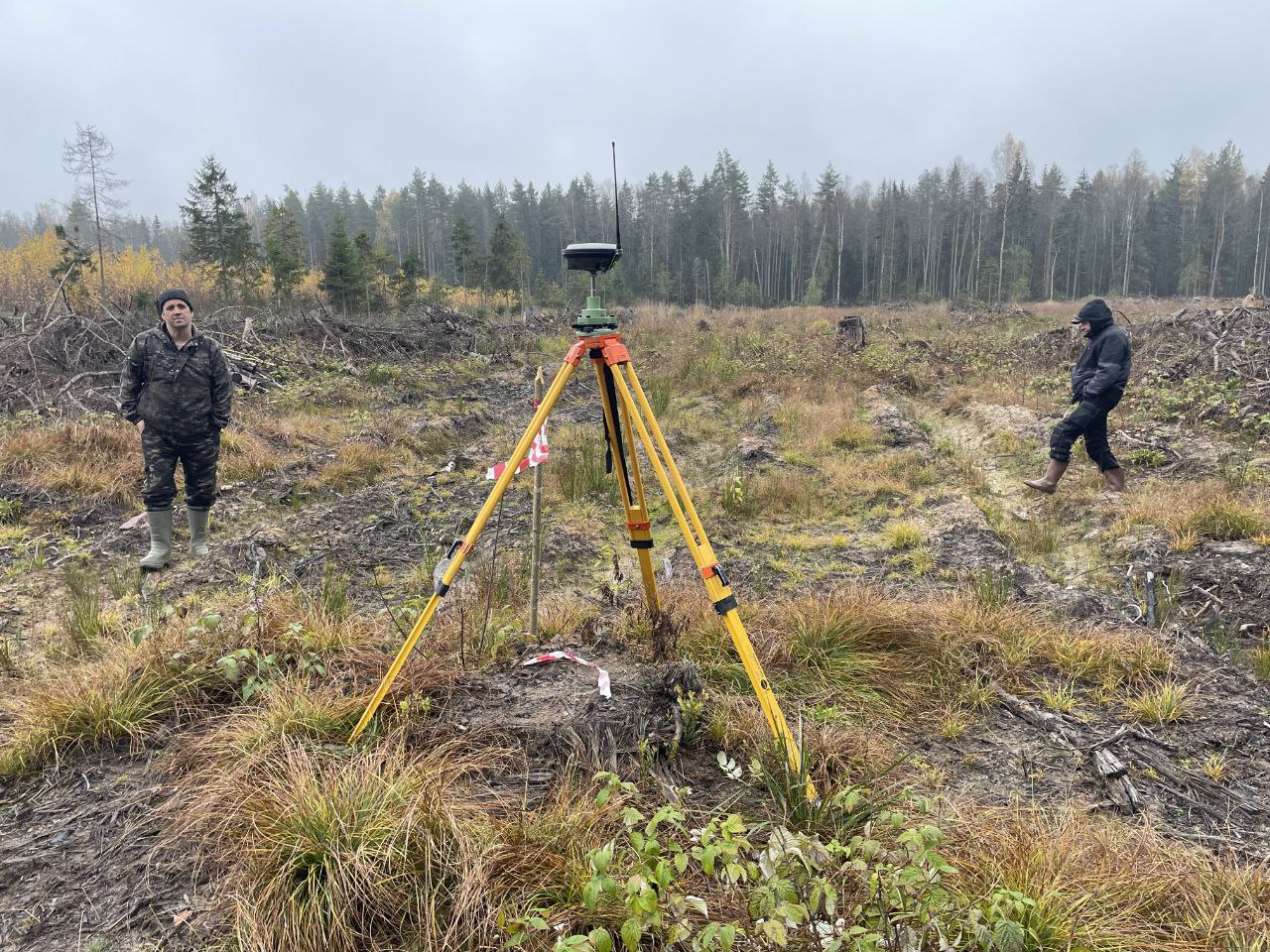 Фото: Волжская межрегиональная природоохранная прокуратура 