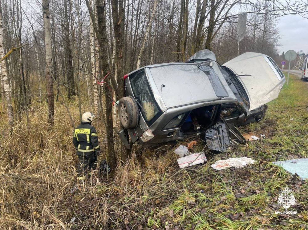 Фото: МЧС России по Тверской области