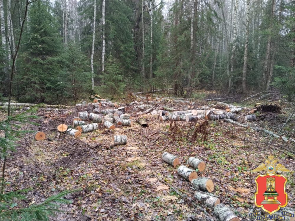 Фото: УМВД России по Тверской области