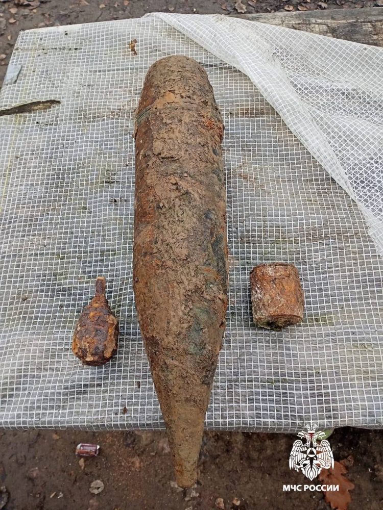 Фото: МЧС России по Тверской области