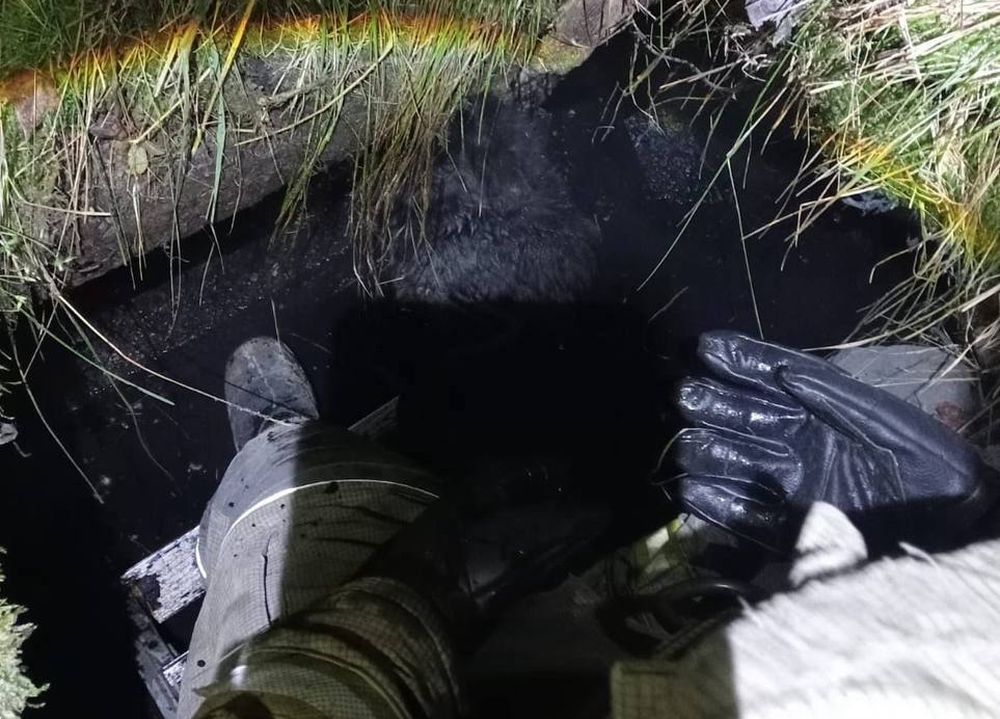 Фото: МЧС России по Тверской области